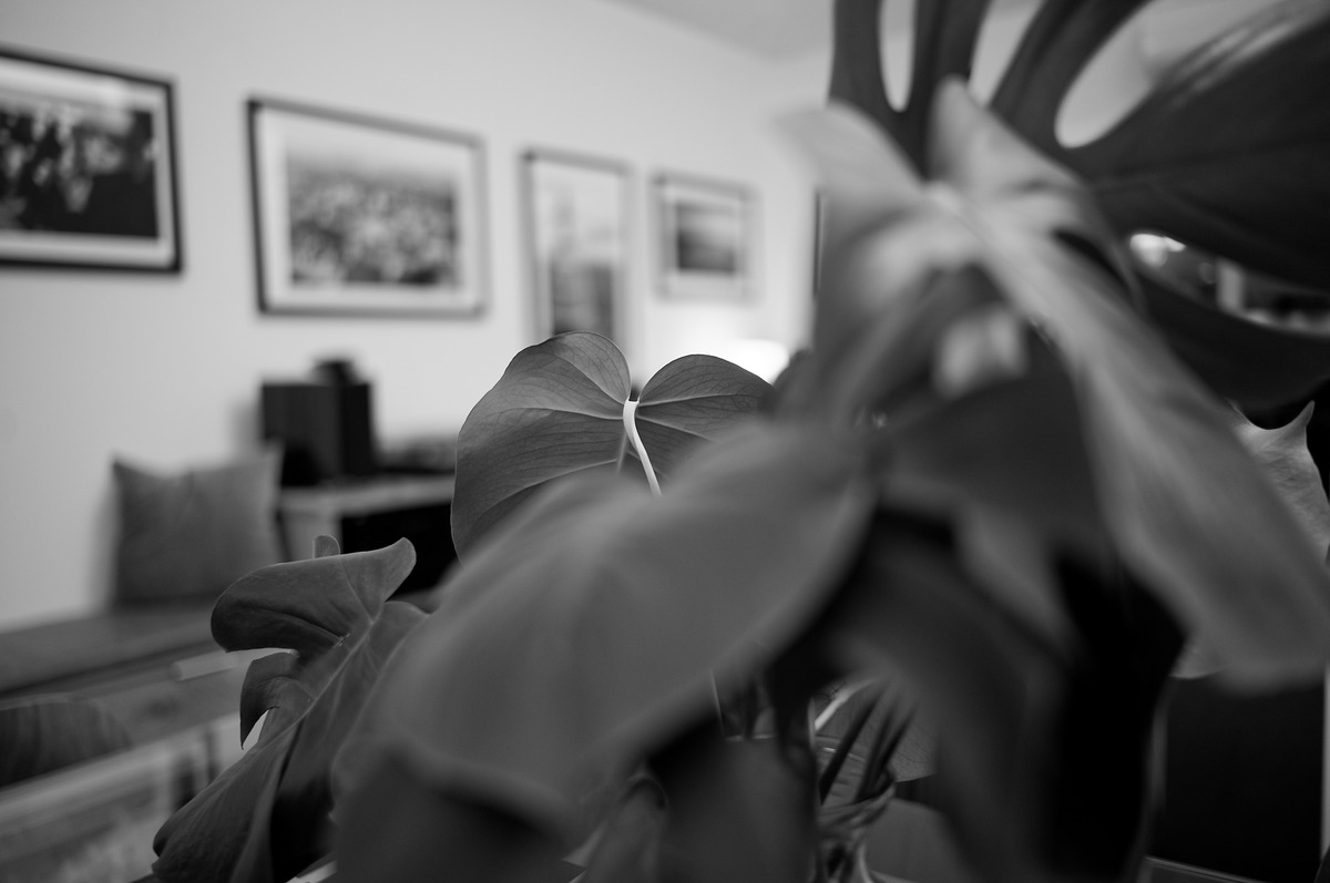 Photo 2000304