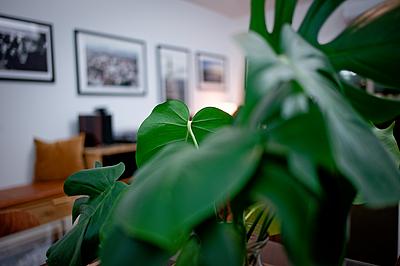 Uber Exif Photo