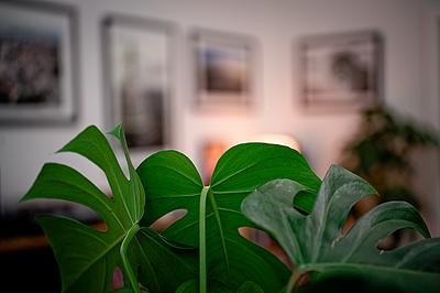 Uber Exif Photo
