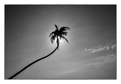Uber Exif Photo