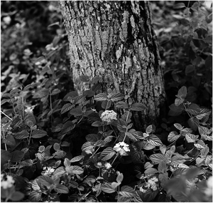 Uber Exif Photo