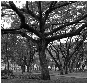 Uber Exif Photo