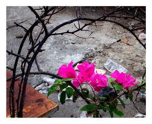 Uber Exif Photo