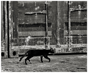 Uber Exif Photo