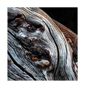 Uber Exif Photo