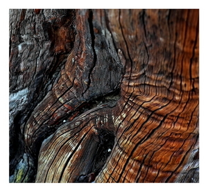 Uber Exif Photo