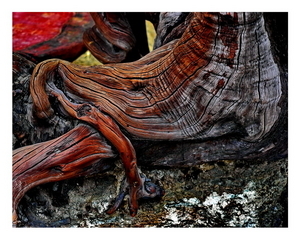 Uber Exif Photo