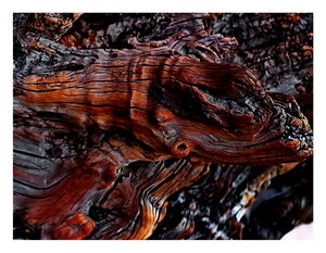Uber Exif Photo
