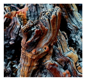Uber Exif Photo