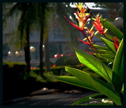 Uber Exif Photo
