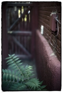 Uber Exif Photo
