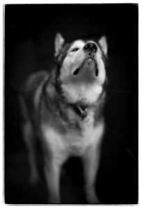 Uber Exif Photo