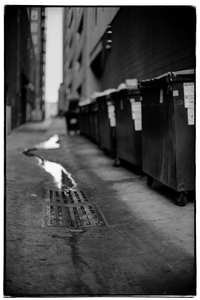 Uber Exif Photo