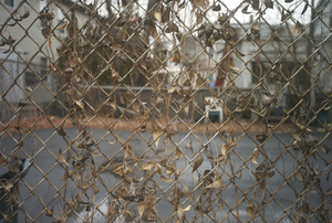 Uber Exif Photo