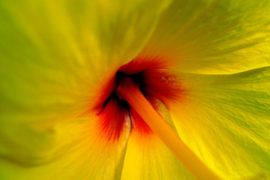 Uber Exif Photo
