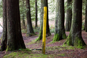 Uber Exif Photo