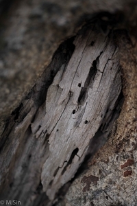 Uber Exif Photo