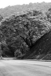 Uber Exif Photo