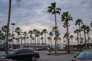 Uber Exif Photo