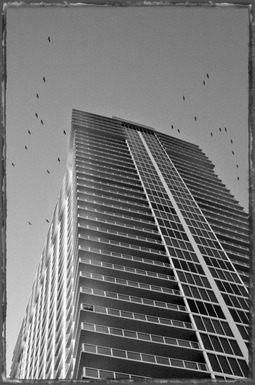 Uber Exif Photo
