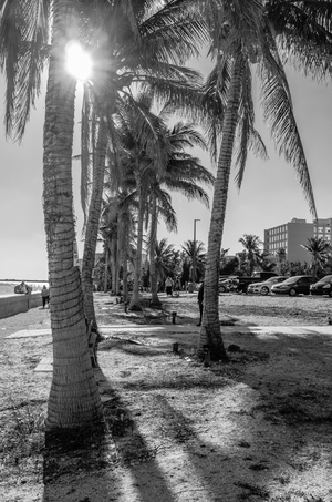 Uber Exif Photo