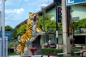 Uber Exif Photo