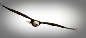 Uber Exif Photo