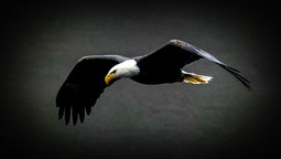 Uber Exif Photo