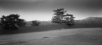 Uber Exif Photo