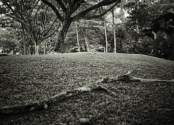 Uber Exif Photo