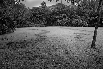 Uber Exif Photo