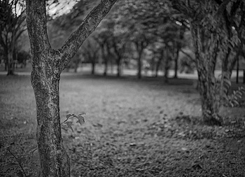 Uber Exif Photo