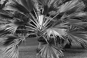 Uber Exif Photo