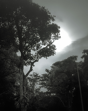 Uber Exif Photo