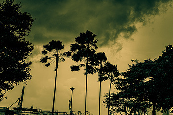 Uber Exif Photo