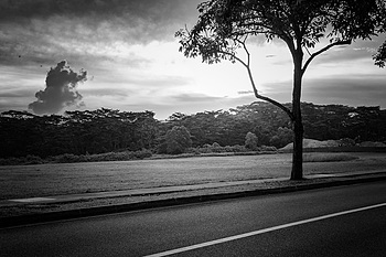 Uber Exif Photo