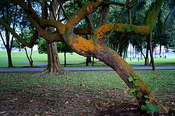 Uber Exif Photo