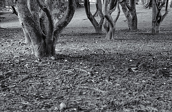 Uber Exif Photo