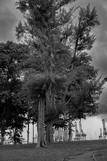 Uber Exif Photo