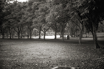 Uber Exif Photo