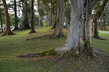 Uber Exif Photo