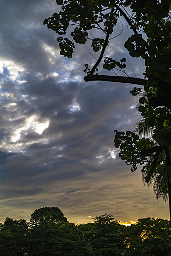 Uber Exif Photo