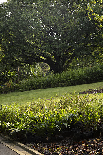 Uber Exif Photo