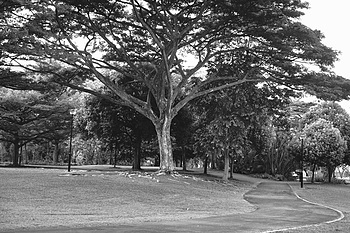 Uber Exif Photo