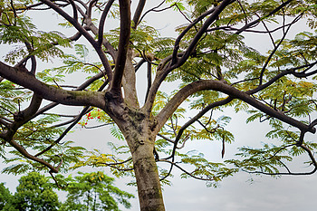 Uber Exif Photo