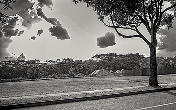 Uber Exif Photo