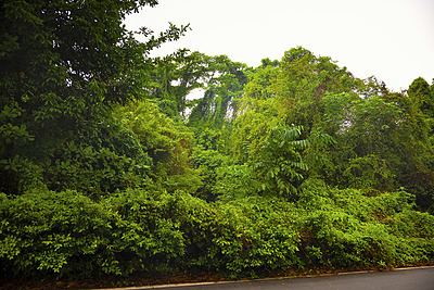 Uber Exif Photo