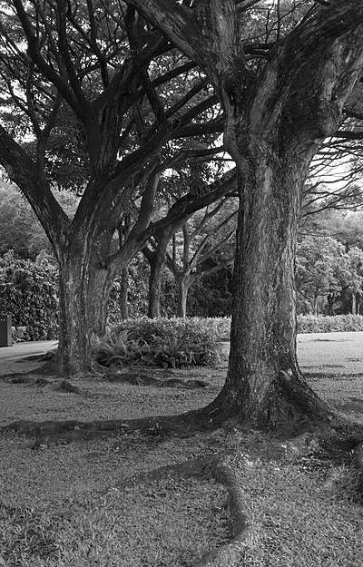 Uber Exif Photo