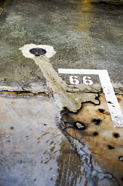 Uber Exif Photo