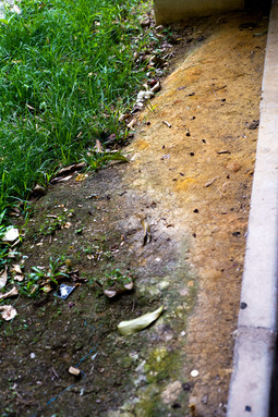 Uber Exif Photo
